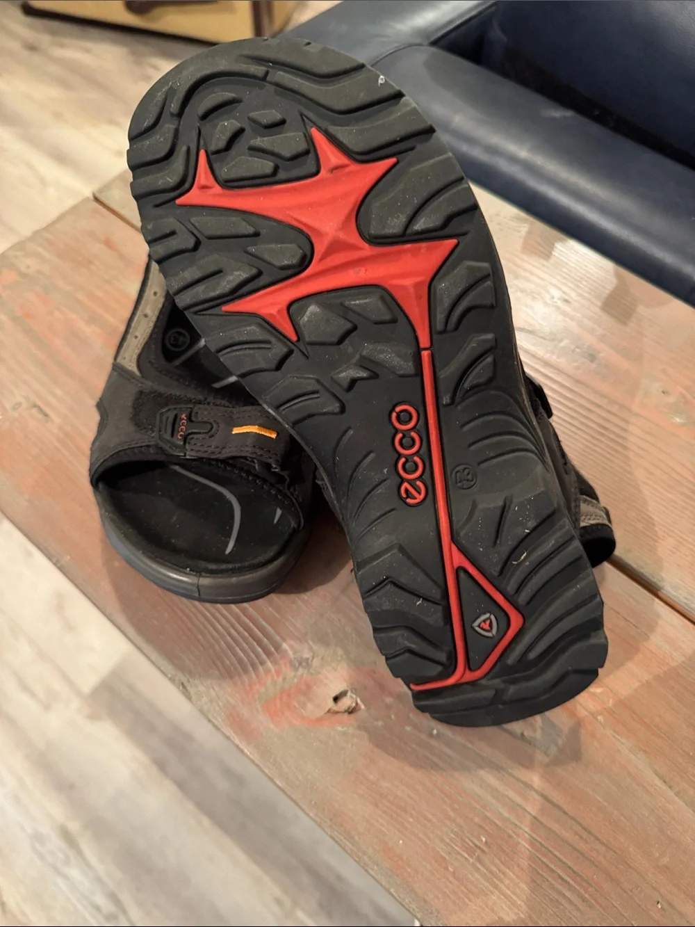 Ecco lightweight kids